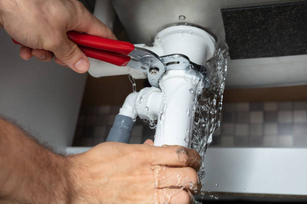 Best Basement water damage restoration  in Elyria, OH