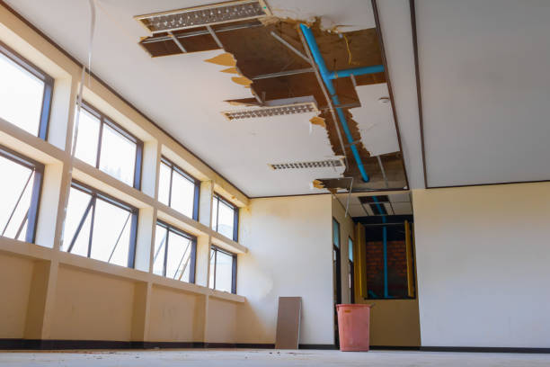  Elyria, OH Water damage restoration Pros