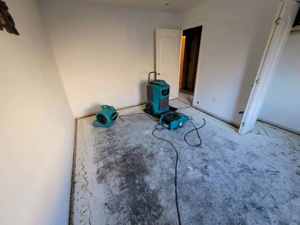 Best Water damage mitigation services  in Elyria, OH