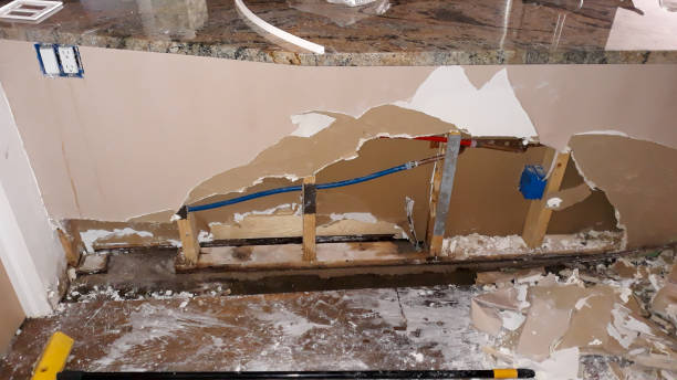 Best Water damage restoration near me  in Elyria, OH
