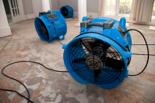 Best Water damage cleanup near me  in Elyria, OH