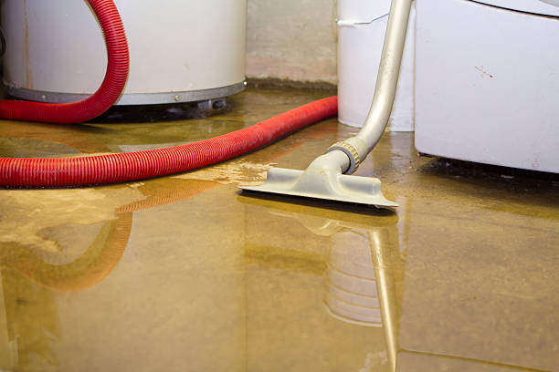 Best Flooded house restoration  in Elyria, OH