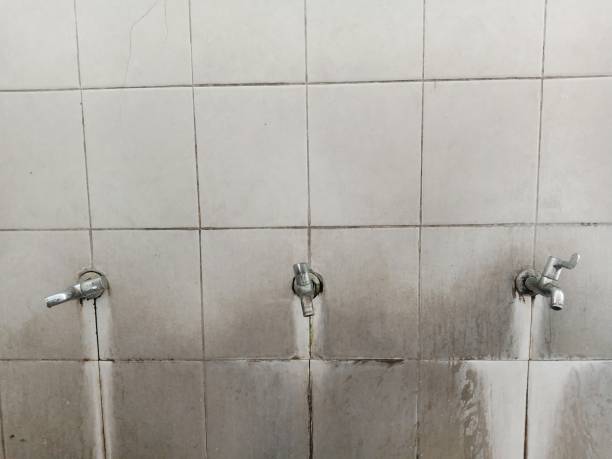 Best Sewage cleanup and water damage restoration  in Elyria, OH