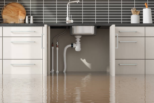 Best 24/7 water damage repair  in Elyria, OH